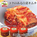 崔(チェ)さんのコクのある白菜キムチ 350g×3個セット [乳酸菌発酵/チェさんのキムチ] ※クール便冷蔵