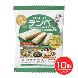 テンペ レトルト 100g×10個セット - マルシン食品