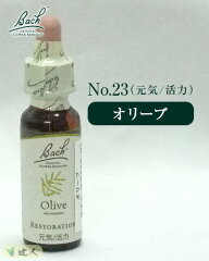 https://thumbnail.image.rakuten.co.jp/@0_mall/healthy-good/cabinet/item/r/r-bfw-023.jpg