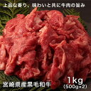 宮崎県産黒毛和牛ミックススライスうす切肉 500g×2 計1000g - レガーロ [牛肉/国内産] ※クール便冷凍 1