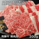 飛騨牛焼肉用 200g - レガーロ [牛肉/国内産] ※クール便冷凍