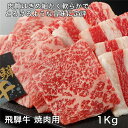 飛騨牛焼肉用 1000g - レガーロ [牛肉/国内産] ※クール便冷凍