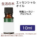 生活の木 有機ユーカリ・グロブルス 10ml - 生活の木 ※ネコポス対応商品