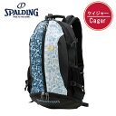 スポルディング(SPALDING)　バッグ　ケイジャー　グラフィティサックス　40-007GS - スポルディング(SPALDING)