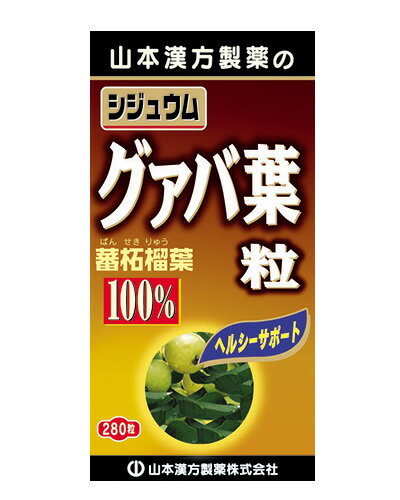 グァバ葉粒100％ 280粒 - 山本漢方製薬