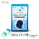  93粒 DHA EPA 栄養 イチョウ葉エキス サプリメント サプリ イチョウ葉 記憶 ギャバ