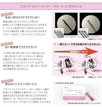 [ ������� V-�饤��ȥ�ޡ� �ե����� ]���ӥ��˥饤�� ���ѽ��ż� �ҡ��ȥ��å��� ��������Ź �����������ʤ� 4959071501229 [���ѥ����ȥ�å���]���ƥʥ󥹥�����ͭ �ݾ� ����̵�� �ݥ����10��