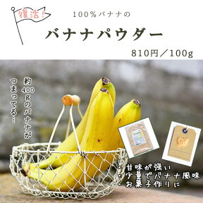 バナナパウダー　100g【サプリメントとしてもOK!!/食物繊維 粉末/バナナ 乾燥/パウダー】