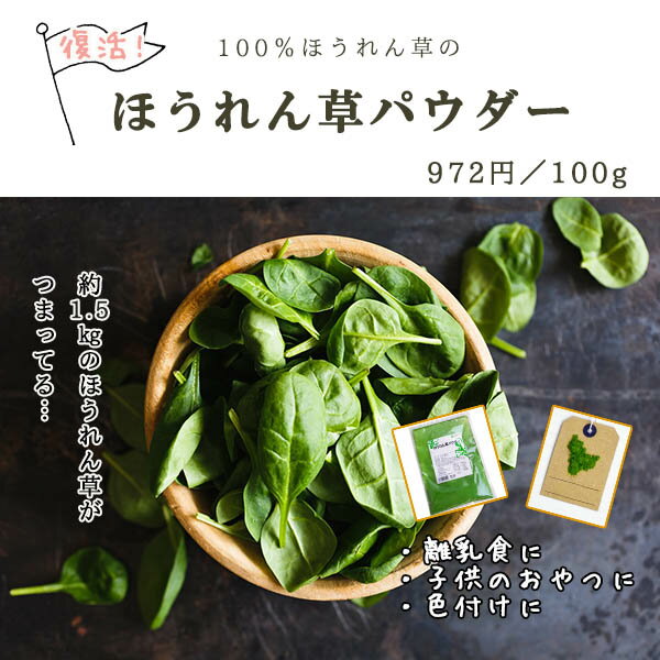 ほうれん草パウダー 100g【野菜パウダー/乾燥野菜/ほうれん草 乾燥/パウダー/ほうれんそう】