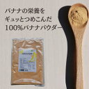 バナナパウダー 100g【サプリメントとしてもOK!!/食物繊維 粉末/バナナ 乾燥/パウダー】
