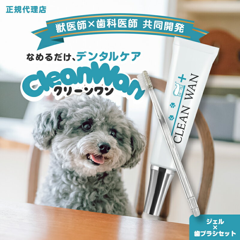 楽天市場】dr. dental wanの通販 楽天市場】dr. dental wanの通販
