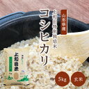 コシヒカリ玄米 5kg | 令和5年産 減農薬 金賞 金賞受賞 特a 特A 玄米 コシヒカリ こしひかり 上和田有機米生産組合 上和田特別栽培米 特別栽培米 農家のお米 お米 おこめ 米 こめ コメ 山形 高畠 高畠町 5キロ 送料無料