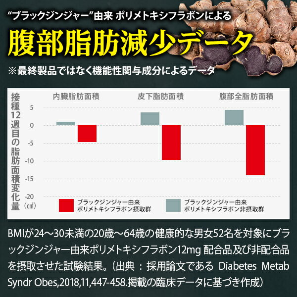 ナイシボーンEX ダイエットサプリ おなかの脂肪 内臓脂肪 皮下脂肪を減らす ブラックジンジャー ダイエット サプリメント 機能性表示食品 サプリ 30日分 黒生姜 クラチャイダム ヒハツ コンブチャ カルニチン ギムネマ カプサイシン EAA 内臓脂肪を減らす 減らす