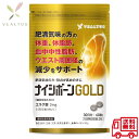 ダイエットサプリ ナイシボーンGOLD 