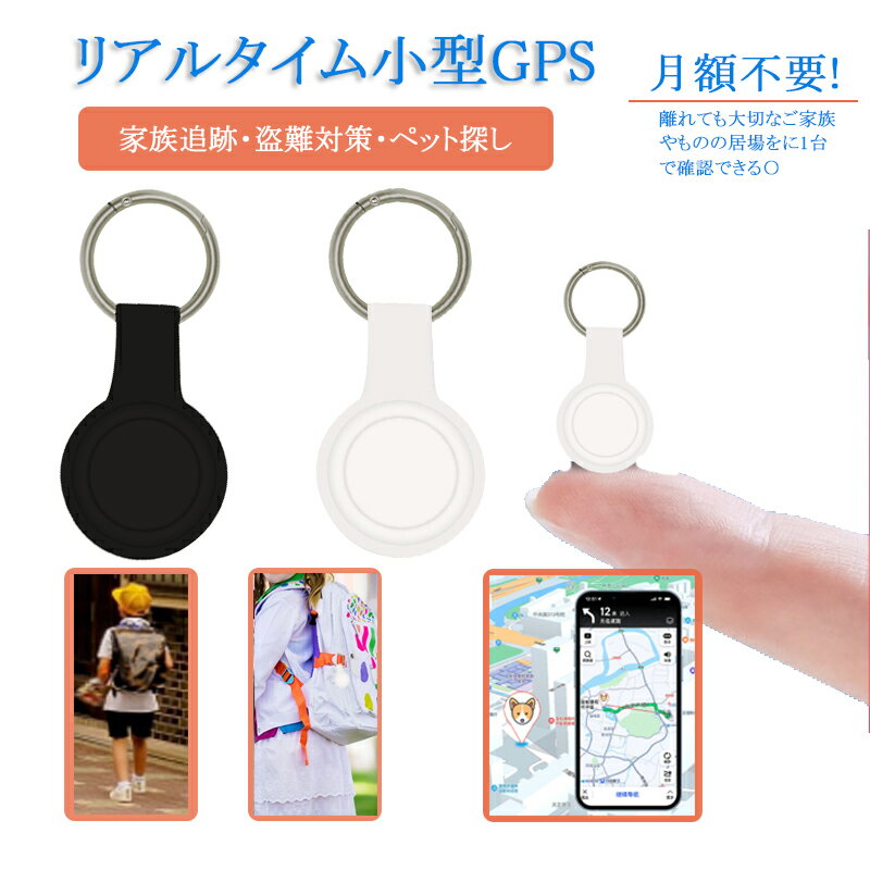 RAMマウント GARMIN VIRB ダイブケース用アダプター 1インチボール