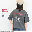 \3日間限定!送料無料/≪SALE 30%OFF≫ハローキティ刺繍半袖バックプリントTeeレディース トップス Tシャツ サンリオ ハローキティ コラボ バックプリント ホワイト チャコール 綿 綿100/st