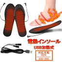 電熱インソール ヒートインソール 中敷き フットウォーマー 暖かい ホットインソール 23.5~29.5cm対応 防寒対策 電熱防寒具 電熱ウェア 靴底 下着 充電式 メンズ レディース 暖かい 冬用 中敷き 電熱インソール 充電式 電熱インソール あったか USB加熱式 水洗い可能