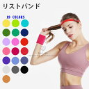 【二個セット】リストバンド 男女兼用 レディース メンズ 汗止め 両腕 吸汗速乾 抗菌防臭 コットン素材 スポーツ用 ランニング テニス バスケットボール 自転車 柔らかい おしゃれ 軽量 弾性 通気性 伸縮性 無地 普段使い