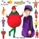 2024新登場 ハロウィン 子供 女の子 男の子 仮装 果物 トマト パイナップル スイカ リンゴ コスプレ コスチューム 衣装 仮装 キッズ 子供用 Halloween変装 文化祭 学園祭 お誕生日 プレゼント クリスマス 舞台 演出服 110 120 130 140