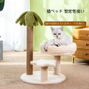 新作 キャットタワー 低い 小さい スリム コンパクト 小さい短足 ミニ 省スペース 猫タワー 天然麻紐 爪とぎ 猫ベッド 安定性良い 緑 棚 人気 おしゃれ ...