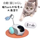 新作 電動猫おもちゃ 車 猫じゃらし 自動 ウィキッドマウス USB充電式 簡単操作 猫の玩具 猫一人遊び お留守番に 充分スピード 2モード搭載 運動不足解消...