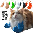 猫 面白いグッズ 猫の筋肉の腕 猫 コスチューム コスプレ衣装 面白い 写真 撮影道具 変身グッズ ハロウィーン ネコ 猫服 ペットの服 可愛い 簡単装着 着せ替え ペット用品