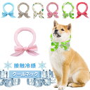 犬 冷感 クールネック 暑さ対策 犬用ウェア お散歩用 首 ひんやりグッズ 冷やす 冷却 熱中症予防 ひんやりタオル 小型犬 中型犬 大型犬 猫用 タオル ひんやり 再利用可能 11色展開
