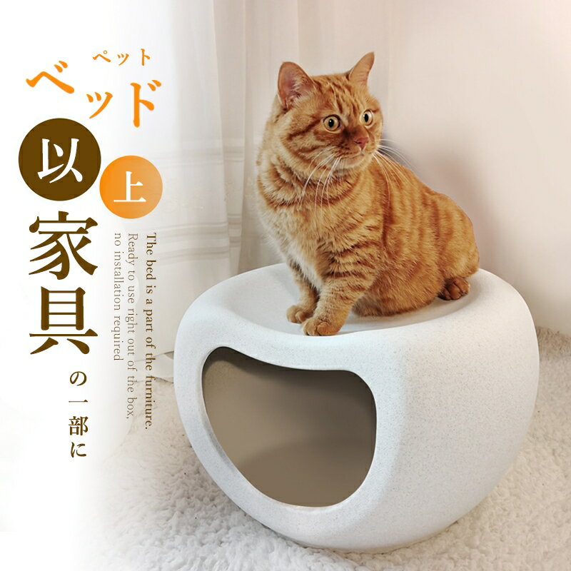  ڥåȥ٥å  ѥ٥å ǥץ꡼ ȶ  ǭ  ݲ ǽ ϡ ڥåȥޥå ڥåȥ٥å к Ҹ ͵ ...