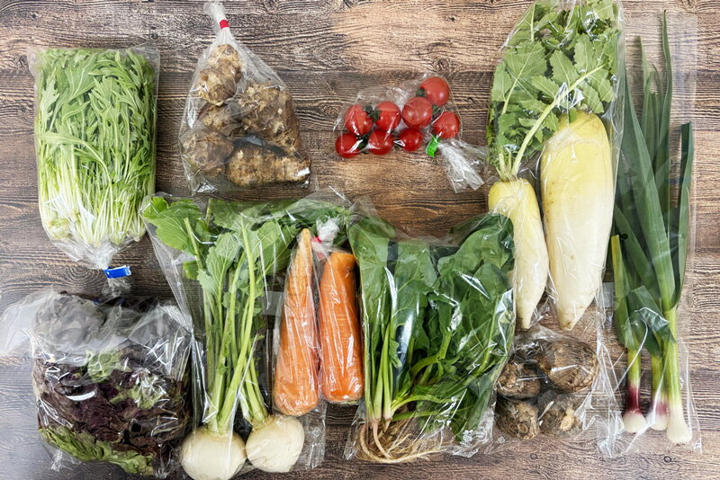 【無肥料・自然栽培】旬のお野菜・果物のお任せセット（Mセット）玉ねぎ、ジャガイモ、人参、サツマイモ、菊芋、小松菜、菊菜、里芋、大根、小かぶ、赤かぶ、白菜などから約10品【送料込み】