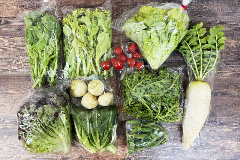 【無肥料・自然栽培】旬のお野菜・果物のお任せセット（Mセット）玉ねぎ、ジャガイモ、人参、サツマイモ、菊芋、小松菜、青梗菜、レタス、里芋、大根、小かぶ、菜の花、ほうれん草などから約10品【送料込み】