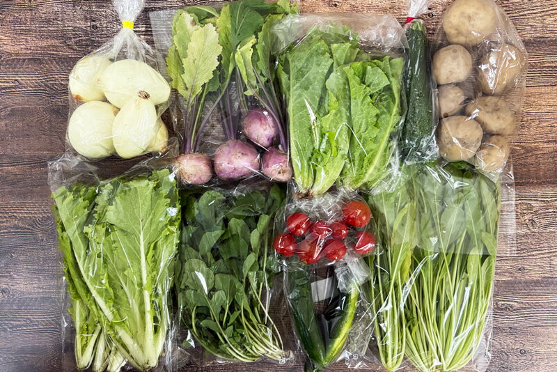 【無肥料・自然栽培】旬のお野菜・果物のお任せセット（Mセット）玉ねぎ、ジャガイモ、人参、青梗菜、レタス、ほうれん草、ミニトマト、ニンニク、スナップえんどう、絹さや、そら豆、ルッコラ、レモンなどから約10品【送料込み】