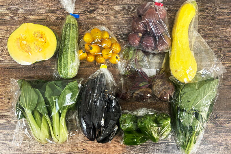 【無肥料・自然栽培】旬のお野菜・果物のお任せセット（Mセット）玉ねぎ、ジャガイモ、人参、レタス、ミニトマト、ニンニク、小松菜、南瓜、ルッコラ、キュウリ、ズッキーニ、茄子などから約10品【送料込み】