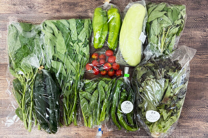 【無肥料・自然栽培】旬のお野菜・果物のお任せセット（Mセット）玉ねぎ、ジャガイモ、ミニトマト、ニンニク、南瓜、キュウリ、ピーマン、ズッキーニ、茄子、インゲン、唐辛子、空芯菜、ツルムラサキ、モロヘイヤなどから約10品【送料込み】