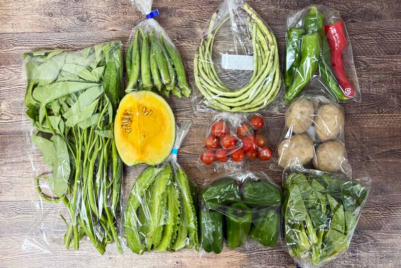 【無肥料・自然栽培】旬のお野菜・果物のお任せセット（Mセット）玉ねぎ、ジャガイモ、ミニトマト、ニンニク、南瓜、ニンジン、サツマイモ、ピーマン、インゲン、唐辛子、空芯菜、ツルムラサキ、レモンどから約10品【送料込み】 heart-netshop-10000101 無肥料・自然栽培野菜宅配のハート パッケージ画像
