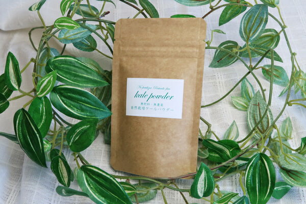 【無肥料・自然栽培】ケールパウダー　［愛知県：桑田農園］