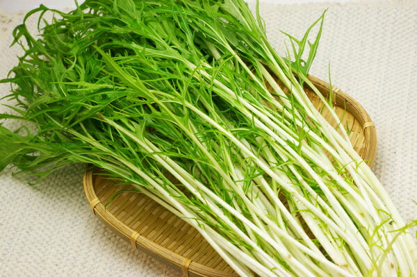 【無肥料・自然栽培】水菜 約130g×5袋［徳島県：若葉農園］