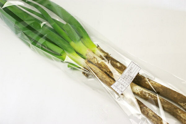 【無肥料・自然栽培】長ネギ 約200g×5袋［北海道：中西康二］9/10入荷