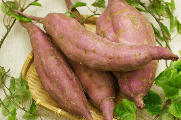 【無肥料・自然栽培】サツマイモ（安納芋）1kg［京都府：レッドライス自然農園］
