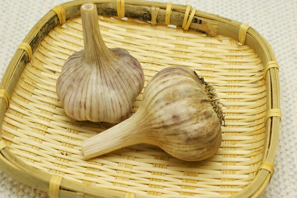 自然栽培ニンニク　にんにく　1kg　送料込み　　有機やさいでもなく、肥料農薬を使わずできた「無肥料無農薬ニンニク」香りよく味よくp料理が仕上がります。のサムネイル