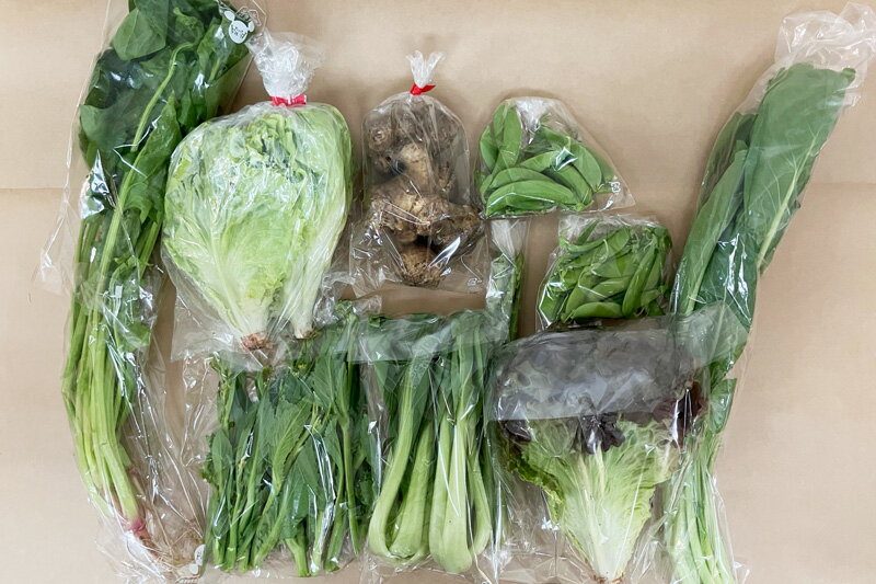 楽天市場】無農薬 無 肥料 野菜の通販 楽天市場】無農薬 無 肥料 野菜の通販