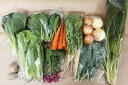 【無肥料・自然栽培】旬のお野菜・果物のお任せセット(Mセット)ミニトマト、小松菜、玉ねぎ、チンゲン菜、ズッキーニ、きゅうり、インゲン、人参、レタス、ラディッシュ、アスパラ、山東菜、生姜、レモンなどから約10品【送料込み】