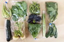 【無肥料・自然栽培】旬のお野菜・果物のお任せセット(Mセット)ミニトマト、小松菜、玉ねぎ、ジャガイモ、ズッキーニ、きゅうり、人参、レタス、アスパラ、にんにく、ピーマン、唐辛子、茄子、レモンなどから約10品【送料込み】