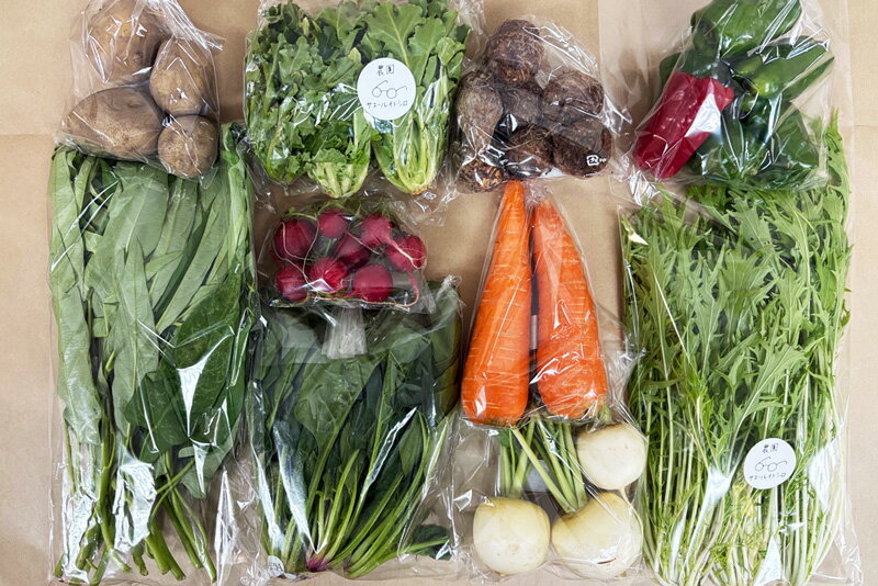 【無肥料・自然栽培】旬のお野菜・果物のお任せセット（Mセット）玉ねぎ、ジャガイモ、人参、空芯菜、オクラ、ツルムラサキ、にんにく、ピーマン、唐辛子、茄子、インゲン、サツマイモ、里芋、大根、小かぶなどから約10品【送料込み】