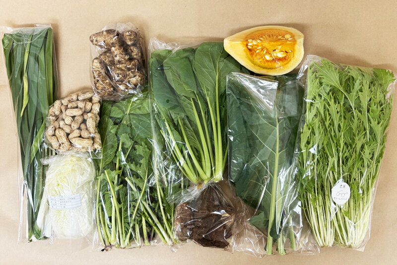 【無肥料・自然栽培】旬のお野菜・果物のお任せセット（Mセット）玉ねぎ、ジャガイモ、人参、空芯菜、..