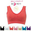 ナイトブラ 【ラクふわブラ】 寝ながらバストアップブラ ナイトブラ 育乳 夜用ブラ バストアップ ナイトブラ 夜用 ブラ 育乳ブラ ノンワイヤー ブラジャー 大きいサイズ LL 3L 4L 推しカラー 推し活 下着 インナー ギフト プレゼント