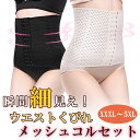 補正下着 コルセット ウエストニッパー 下腹 お腹 腰 姿勢 腰痛 サポート くびれ スタイル ホック メッシュ 通気性 引き締め ダイエット シェイプアップ ...