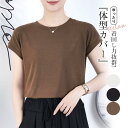 Tシャツ レディース 春 夏 トップス 半袖 tシャツ スリム カットソー プルオーバー インナー 大人 楽ちん シンプ キレイめ おしゃれ シンプル 20代 ...