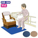 ギフト 敬老の日 プレゼント 消臭 抗菌 防水 滑り止め マット トイレマット 丸ごと 水洗い 可能 介護用 シンエイテクノ ゼオシーター 洋式