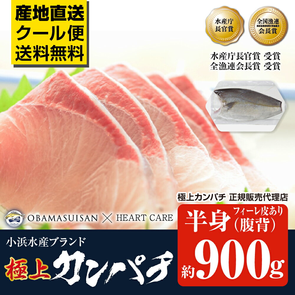 ＼満天☆青空レストランでご紹介／ 極上カンパチ 小浜水産 半身 皮あり 約900g カンパチ 鹿児島県産 刺身 冷蔵 鹿児島 特産 新鮮 お取り寄せ 取寄 直送 [軽減税率]【返品不可】