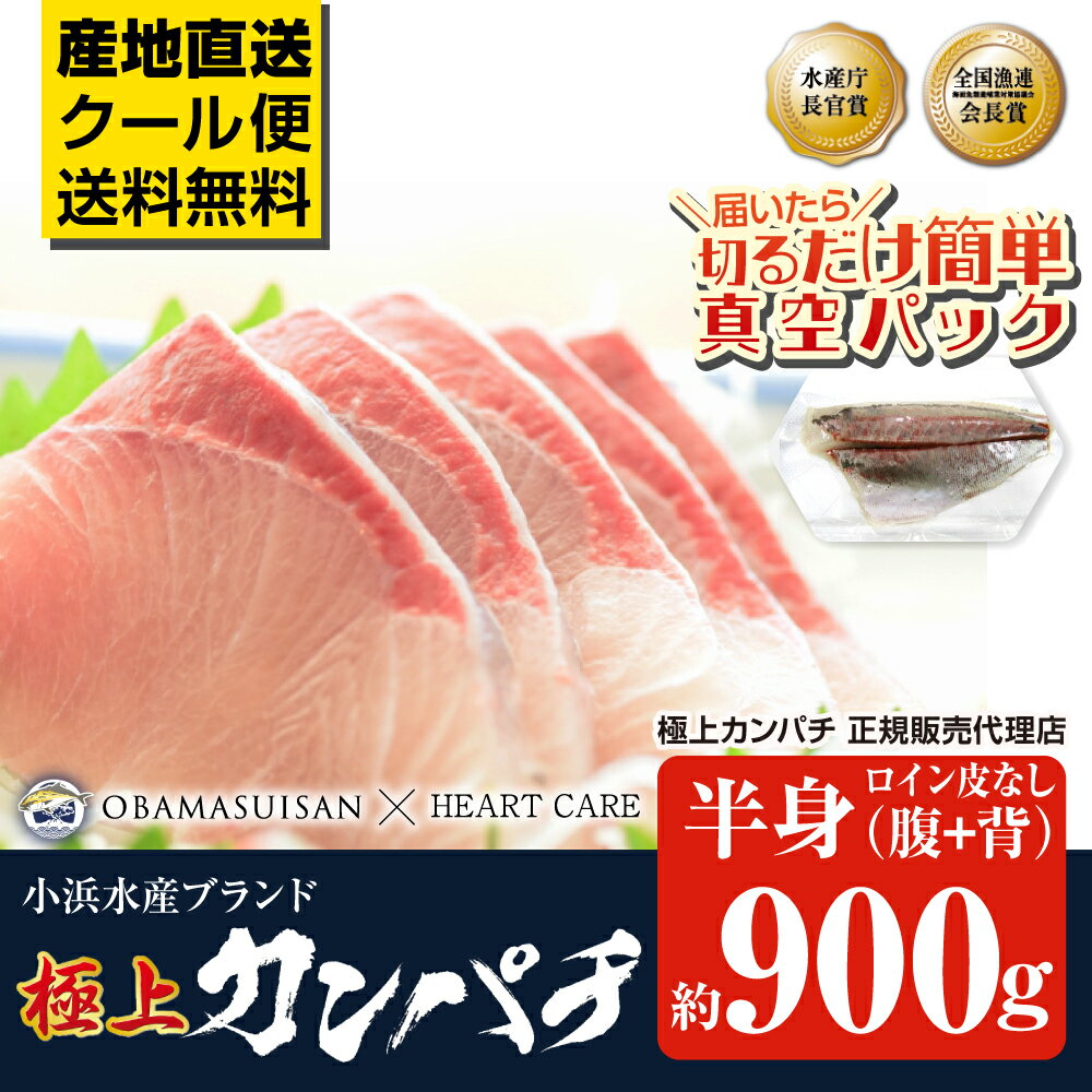 ＼満天☆青空レストランでご紹介／ 極上カンパチ 小浜水産 半身 皮なし 約900g カンパチ 鹿児島県産 刺身 冷蔵 鹿児島 特産 新鮮 お取り寄せ 取寄 直送 [軽減税率]【返品不可】